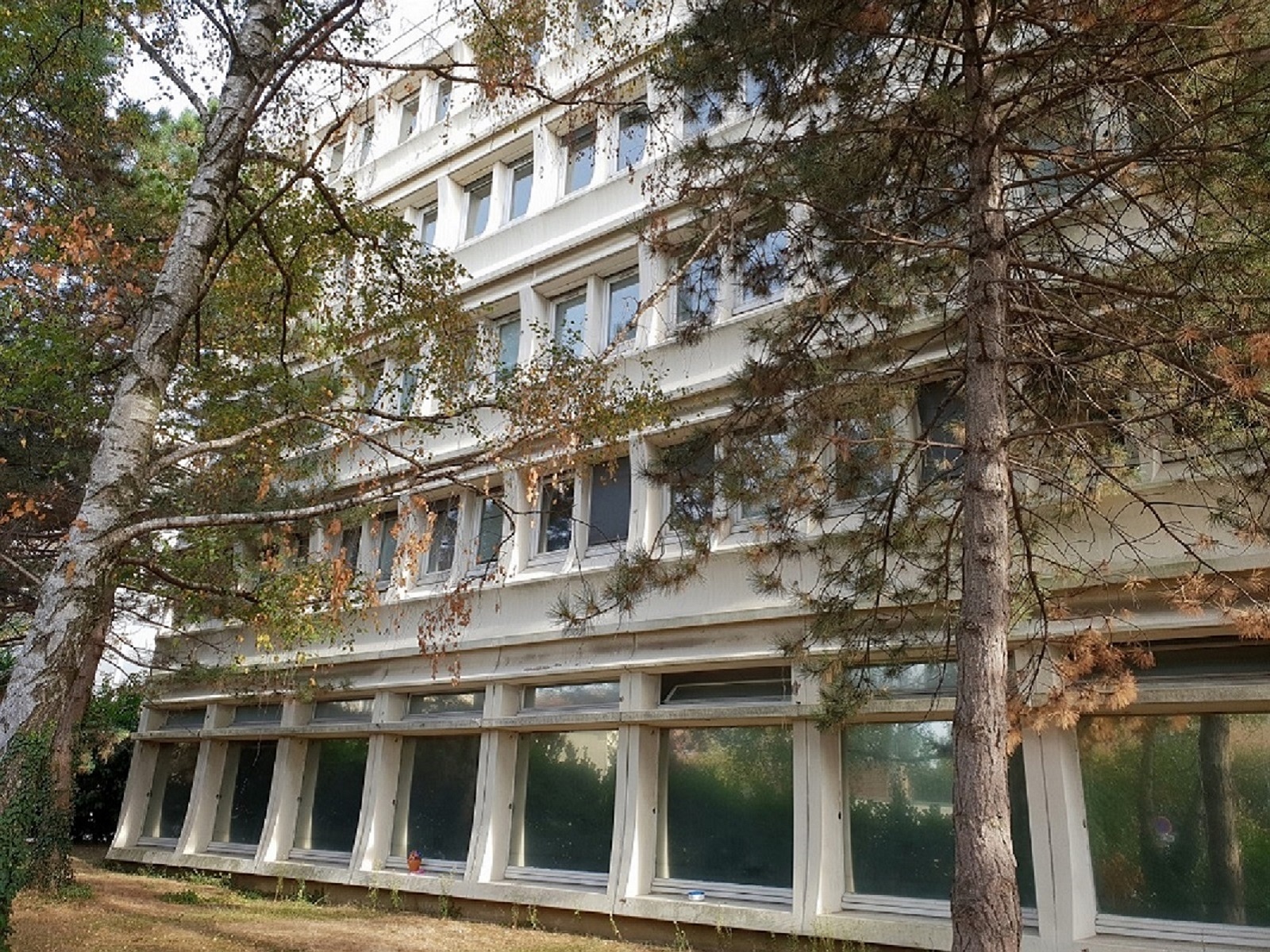 DBX CONSEIL - Paris Est boucle une nouvelle acquisition de bureaux à MONTREUIL (93)