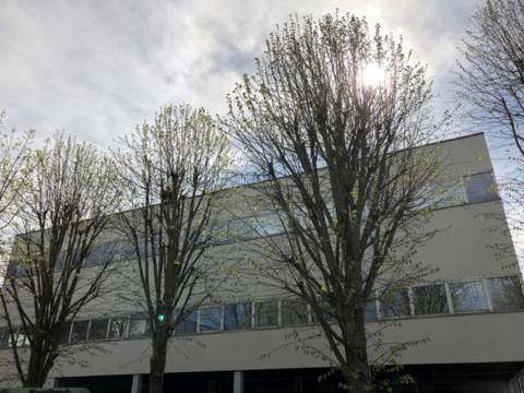 Location Bureaux EVRY-COURCOURONNES - Photo 2